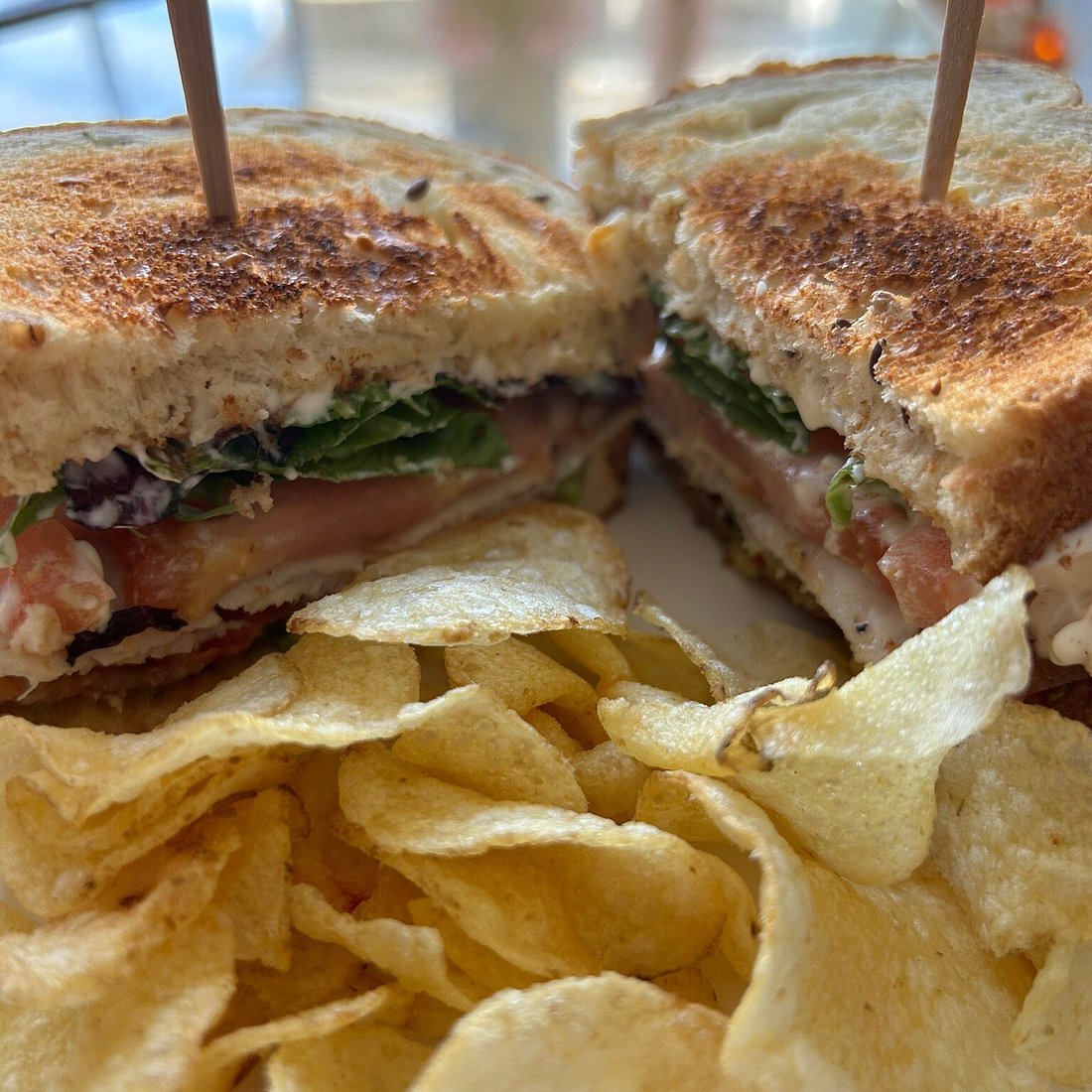 1842 Daily Grind & Mercantile signature dishes Cedar Key Club Sandwich
World's Greatest Sandwich
Loaded Oatmeal
